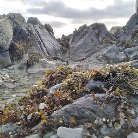 Port Lodge Northern Ireland Portaferry Ngoại thất bức ảnh