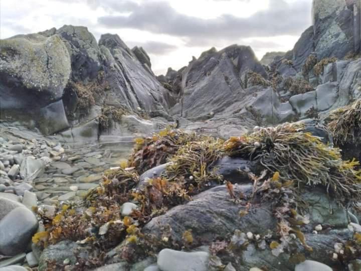 Port Lodge Northern Ireland Portaferry Ngoại thất bức ảnh